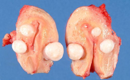 Αυτή η εικόνα δεν έχει ιδιότητα alt. Το όνομα του αρχείου είναι 4-1.jpg