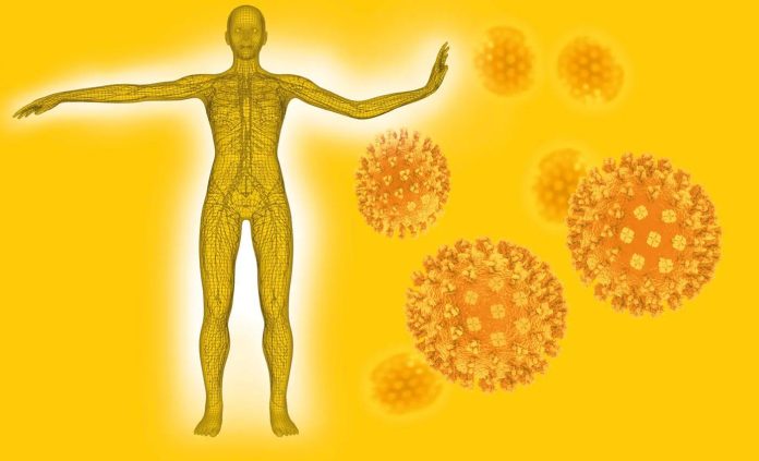 immune-system-4