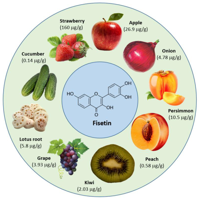 fisetin-3